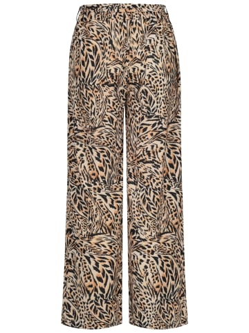 Cloud5ive Cloud5ive in leo