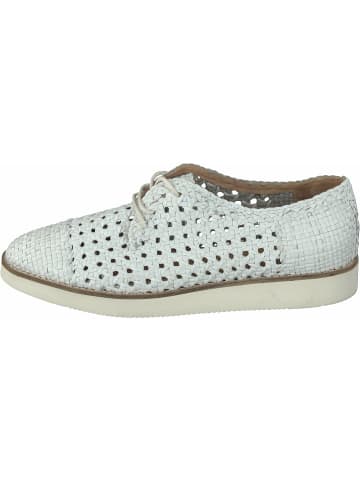 Allan K für in weiß