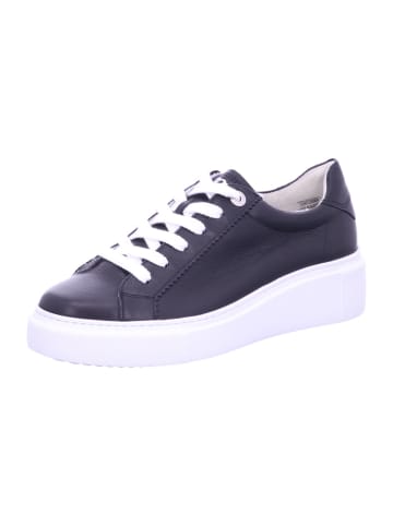 Paul Green Sneaker in schwarz