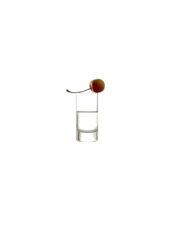 Stölzle 6er Set Schnapsgläser New York Bar in 55 ml in transparent