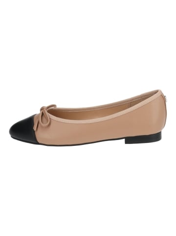 Steve Madden Ballerinas in Natural