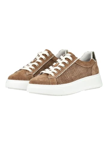 Nero Giardini Sneaker in Braun