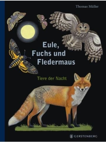 Gerstenberg Eule, Fuchs und Fledermaus | Tiere der Nacht