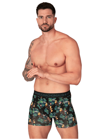 Muchachomalo 10er-Set: Boxershort in Mehrfarbig - für Herren