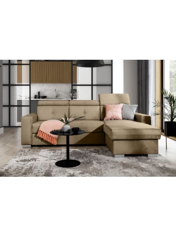 MF Design Falcon Recamiere Rechts in Braunbeige -  (L) 248 x (B) 248 x (H) 95 cm