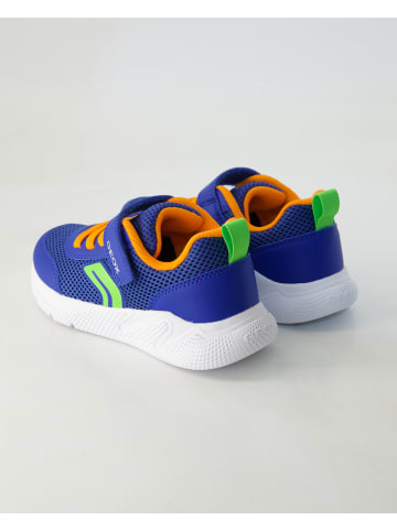 Geox Klettschuhe in Blau