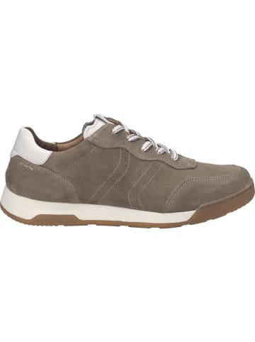 Josef Seibel Sneaker Blake 03 in beige