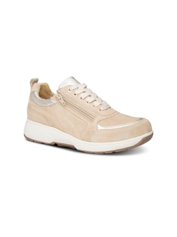 Xsensible Schnürschuh in beige