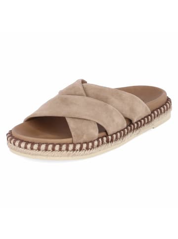 Gabor Pantolette in brown