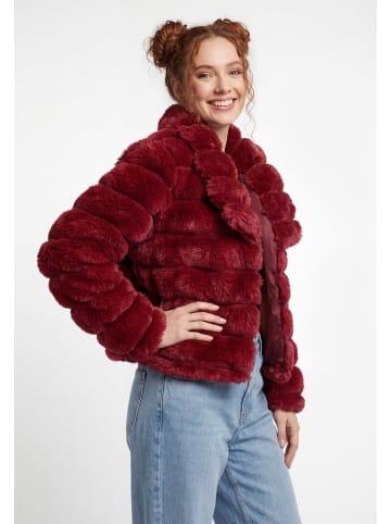 taddy Women Jacket in Wine Red