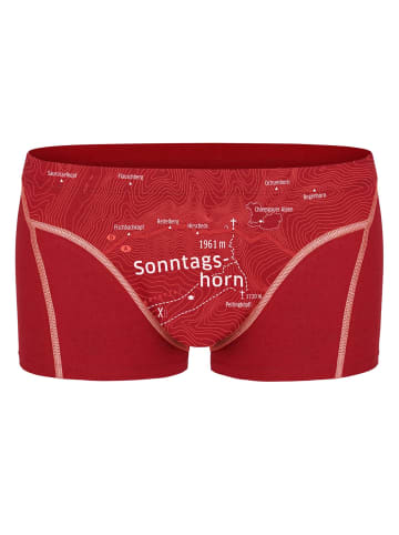 EIN SCHÖNER FLECK ERDE Boxershort 1er Pack in Sonntagshorn (Kaminrot)