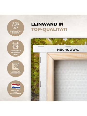 MuchoWow Leinwand bilder Sonniger Wasserfall (BxH)