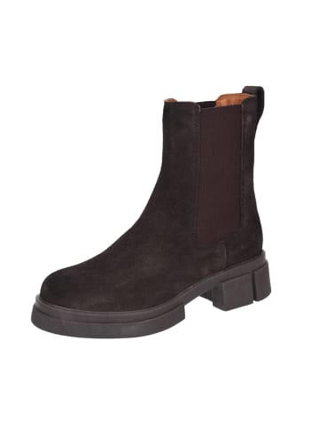 Apple of Eden Stiefeletten  Bis in braun