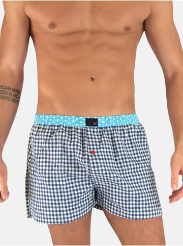 Unabux Boxer Prints in DAVID