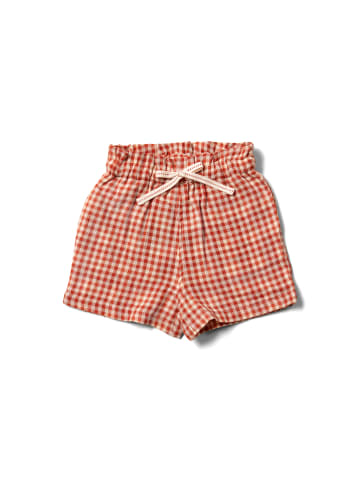 Little Green Radicals By The Sea Shorts in Rot