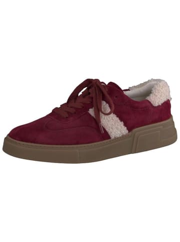 Paul Green Lowtop-Sneaker in bordo