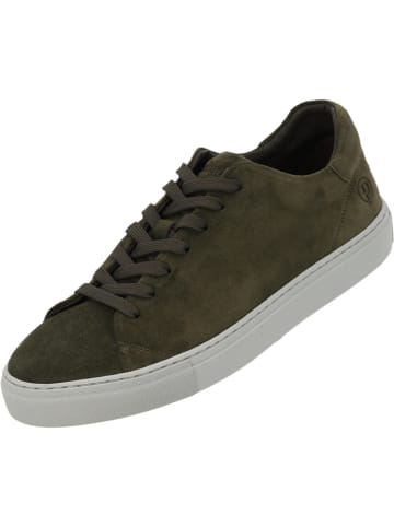 palado Sneakers in Green
