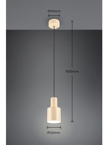 Trio Leuchten Pendelleuchte AGUDO in beige