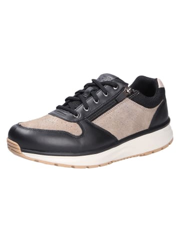 Joya Schnürschuh DYNAMO ZIP W BRONZE/BLACK in schwarz