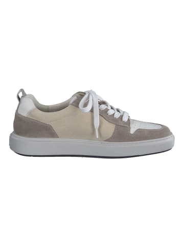 Paul Green Sneaker in Beige/Grau