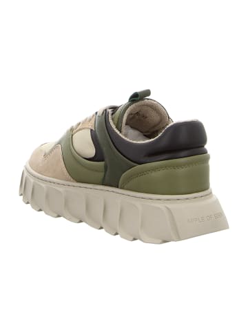 Apple of Eden Sneaker Low in Beige