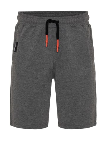 Cipo & Baxx Shorts in grau