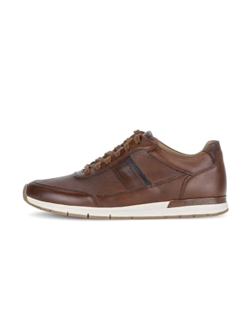 Pius Gabor Sneaker low in braun