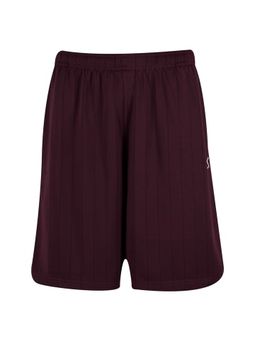 Karl Kani KK Insignia Shadow Pinstripe Soccer Shorts in Bordeaux