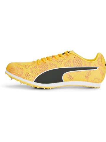 Puma Laufschuh "evoSPEED Star 8" in Orange