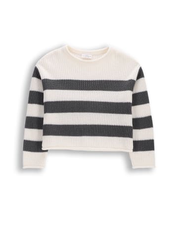 Coccodrillo Strickpullover in schwarzgrau