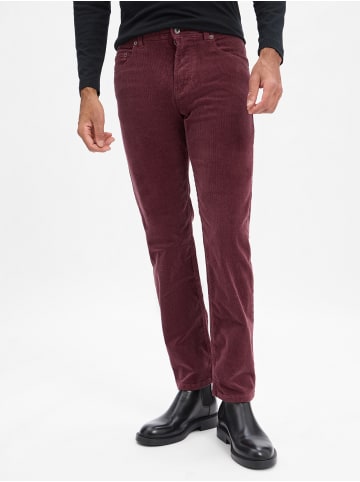 Andrew James Cordhose Aiden in aubergine - 0010