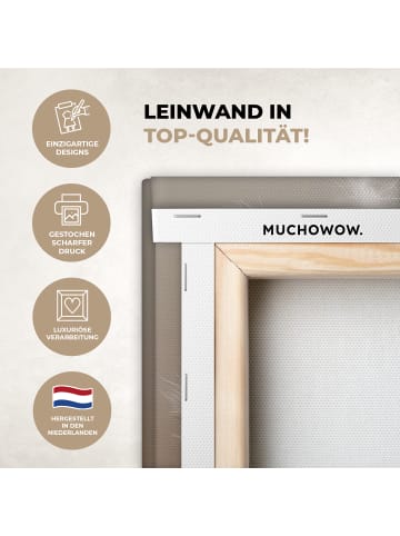 MuchoWow Leinwand bilder Federn (BxH)