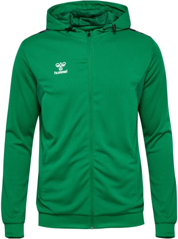 Hummel Hummel Reißverschluss Jacke Hmlauthentic Herren in JELLY BEAN