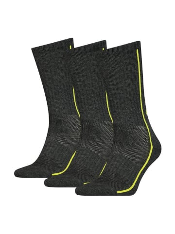 HEAD Socken 3er Pack in Dunkelgrau