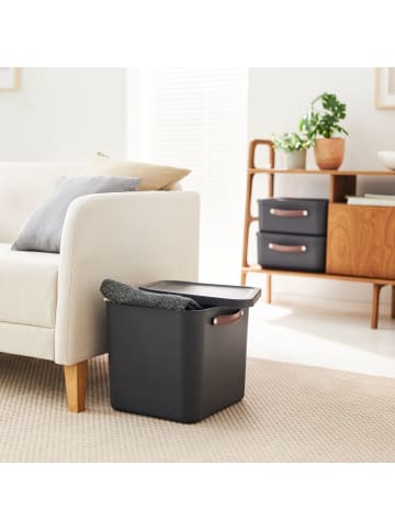 Rotho 2er-Set Aufbewahrungskiste 40l in Holzkohle schwarz ged.