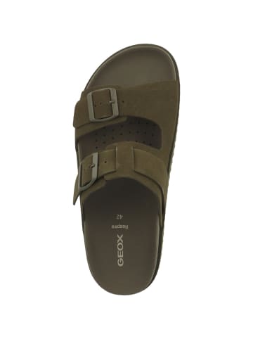 Geox Sandale U Parnaiba in dunkelgruen