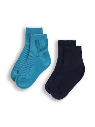 Coccodrillo Socken in bunt