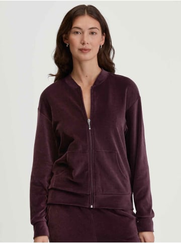 Calida Elegante Hausjacke in Black cher