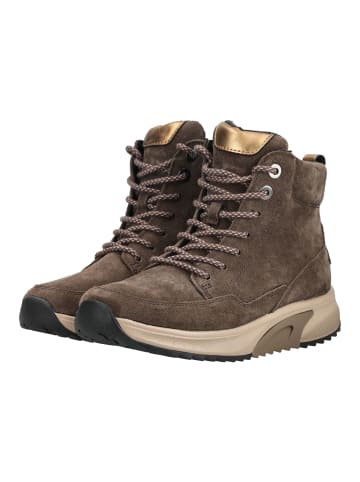 Gabor Sneaker Braun