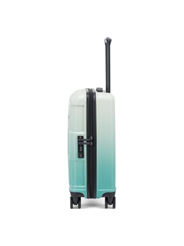 Epic Crate EX Wildlife 4 Rollen Kabinentrolley 55 cm greenvelvet