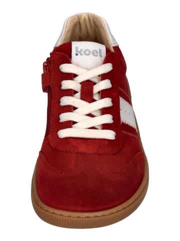 KOEL Sneaker Low DECLAN SUEDE 3.0 in rot