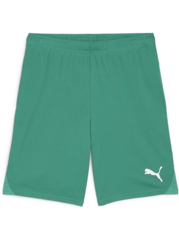 Puma Sporthose "TeamGoal Shorts" in Grün