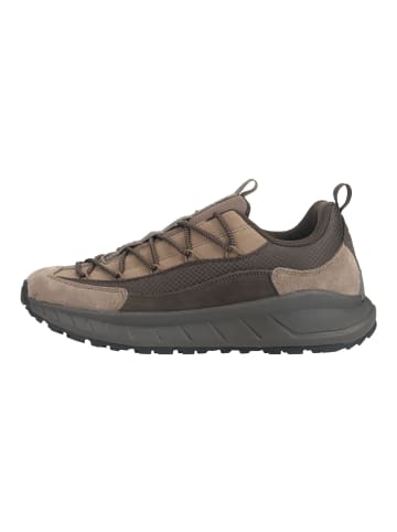 Napapijri Sneaker F6ORBIT01 Braun