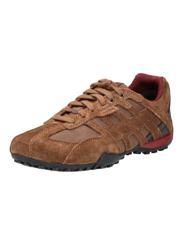 Geox Sneaker in Braun