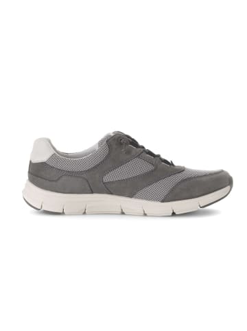 Gabor Sneaker low in grau
