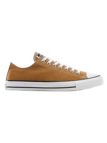 Converse Sneaker in Braun