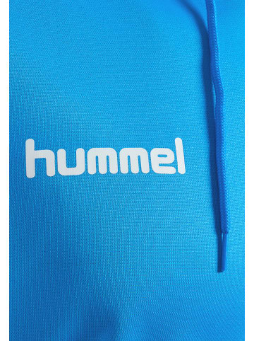 Hummel Hmlpromo Herren in DIVA BLUE