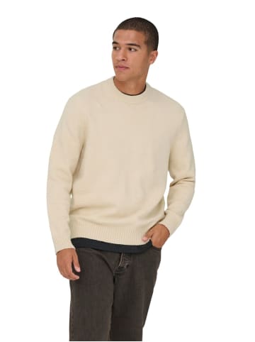 Only&Sons Pullover ONSJAMES RLX CREW KNIT in Beige