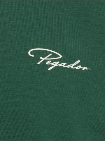 PEGADOR T-Shirt Pike in tanne