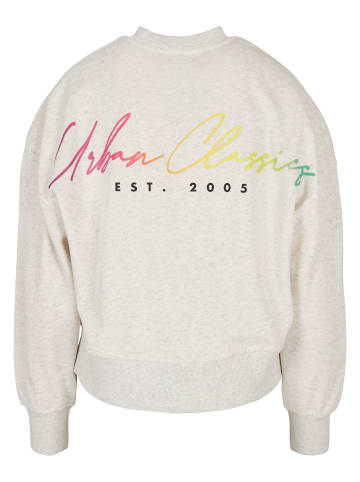 Urban Classics Urban Classics Damen Ladies Oversized Rainbow Crewneck in lightgrey